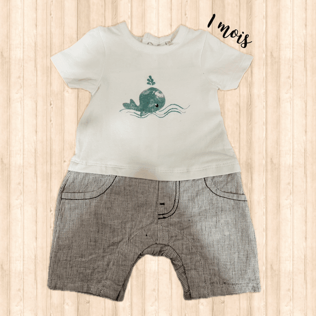 Combi short, orchestra 